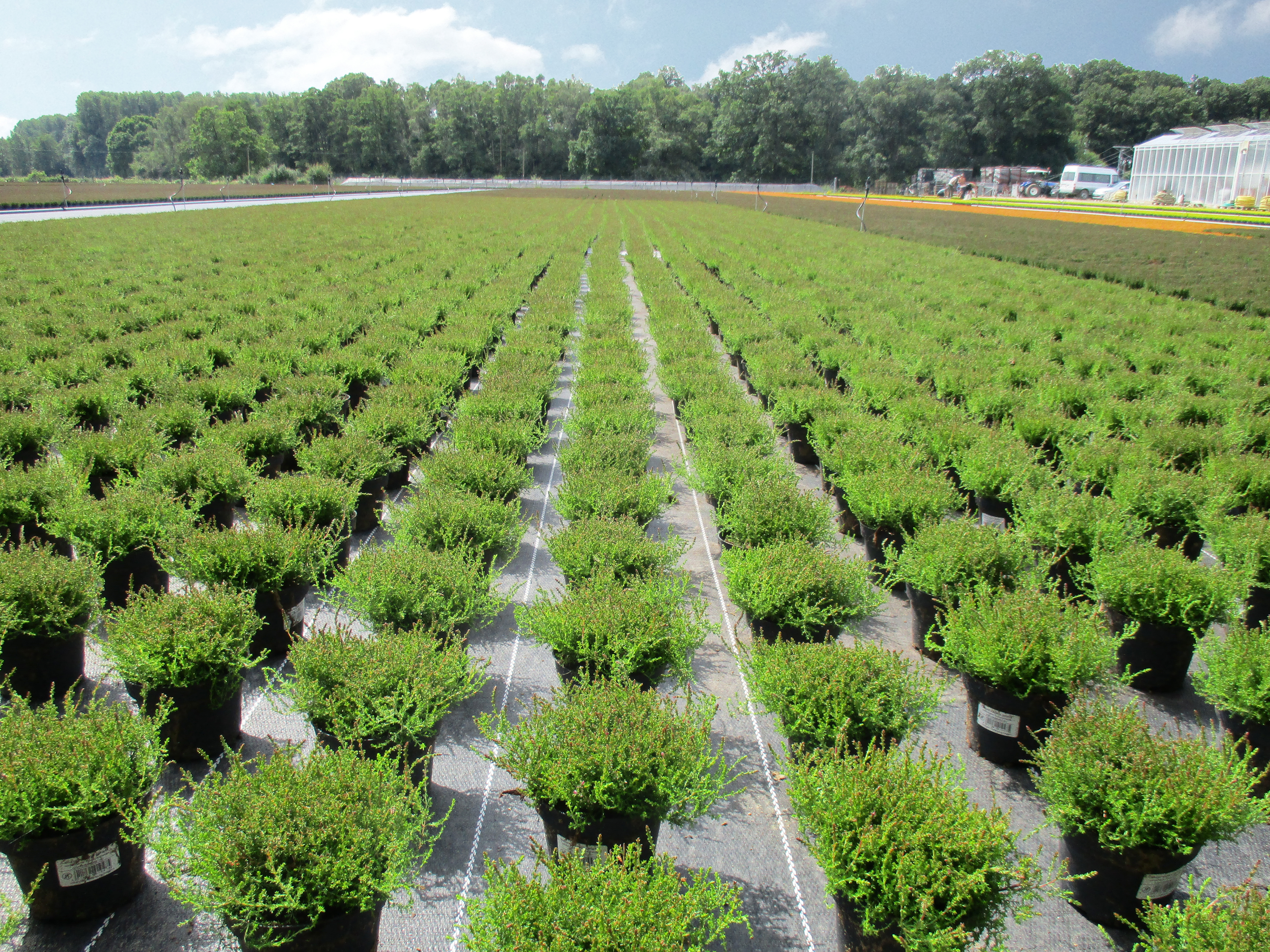 Beaulieu Technical Textiles unveils the latest trends in woven ground covers for all containerfields at GreenTech Amsterdam 2024