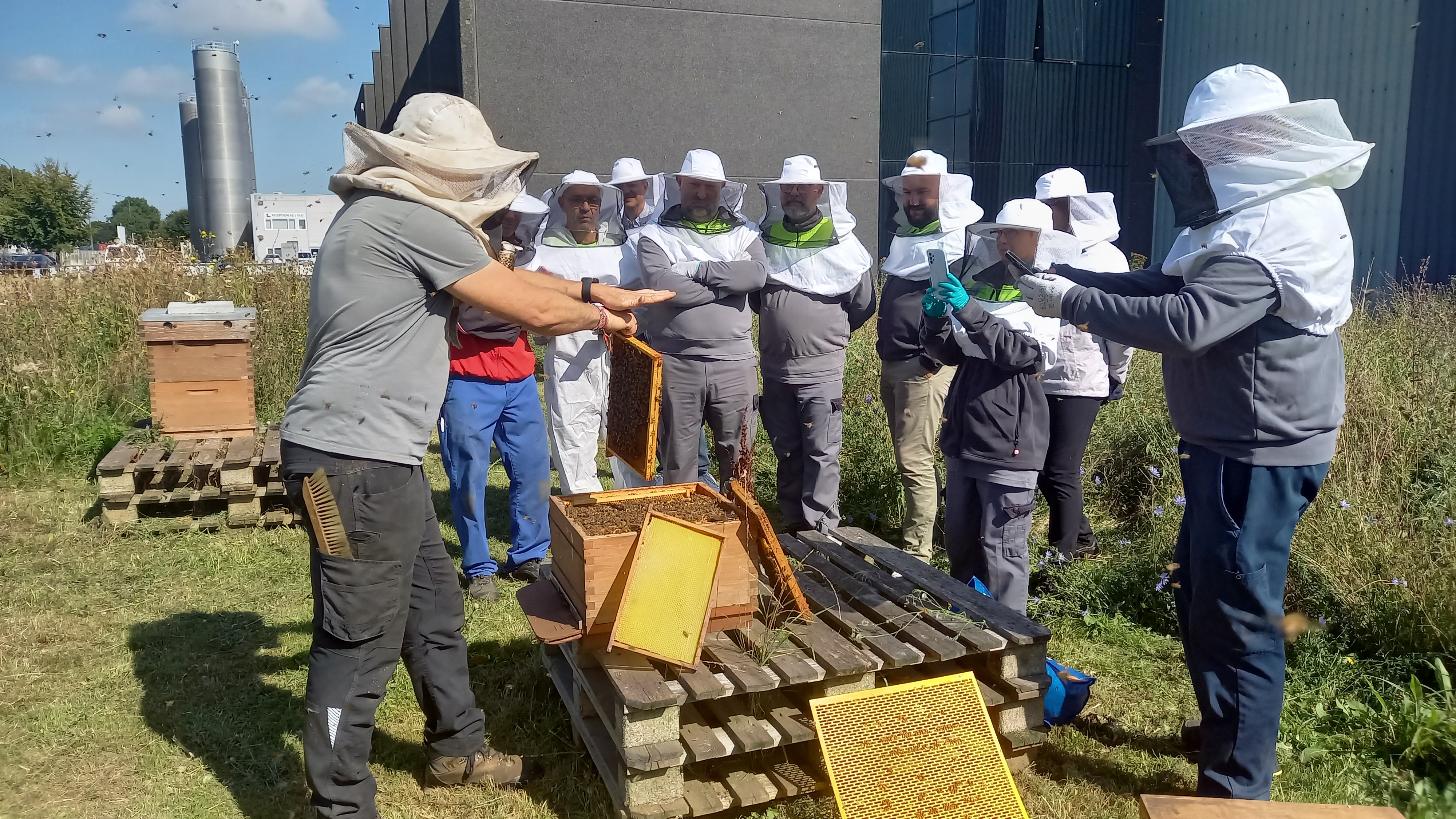 BTT_Sustainability_Honeybees_REF006